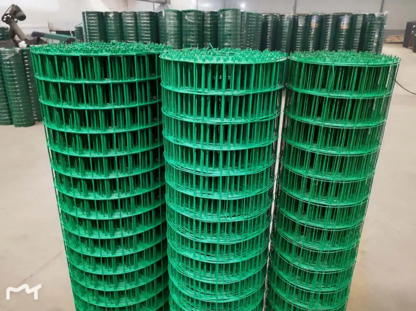 丰泽荷兰网